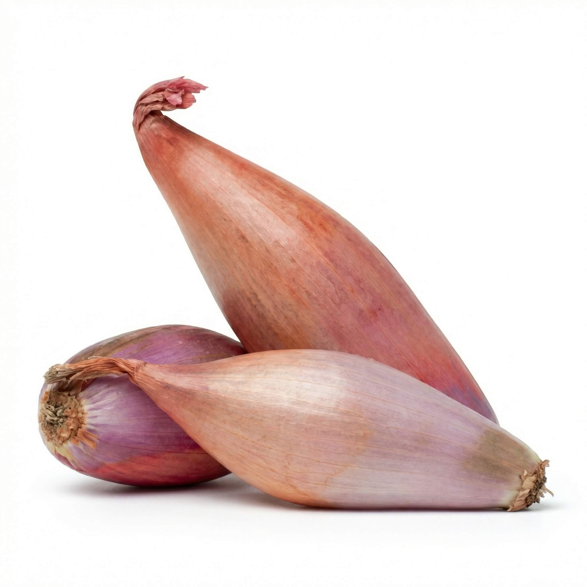 Dolma Onion 1 Kg