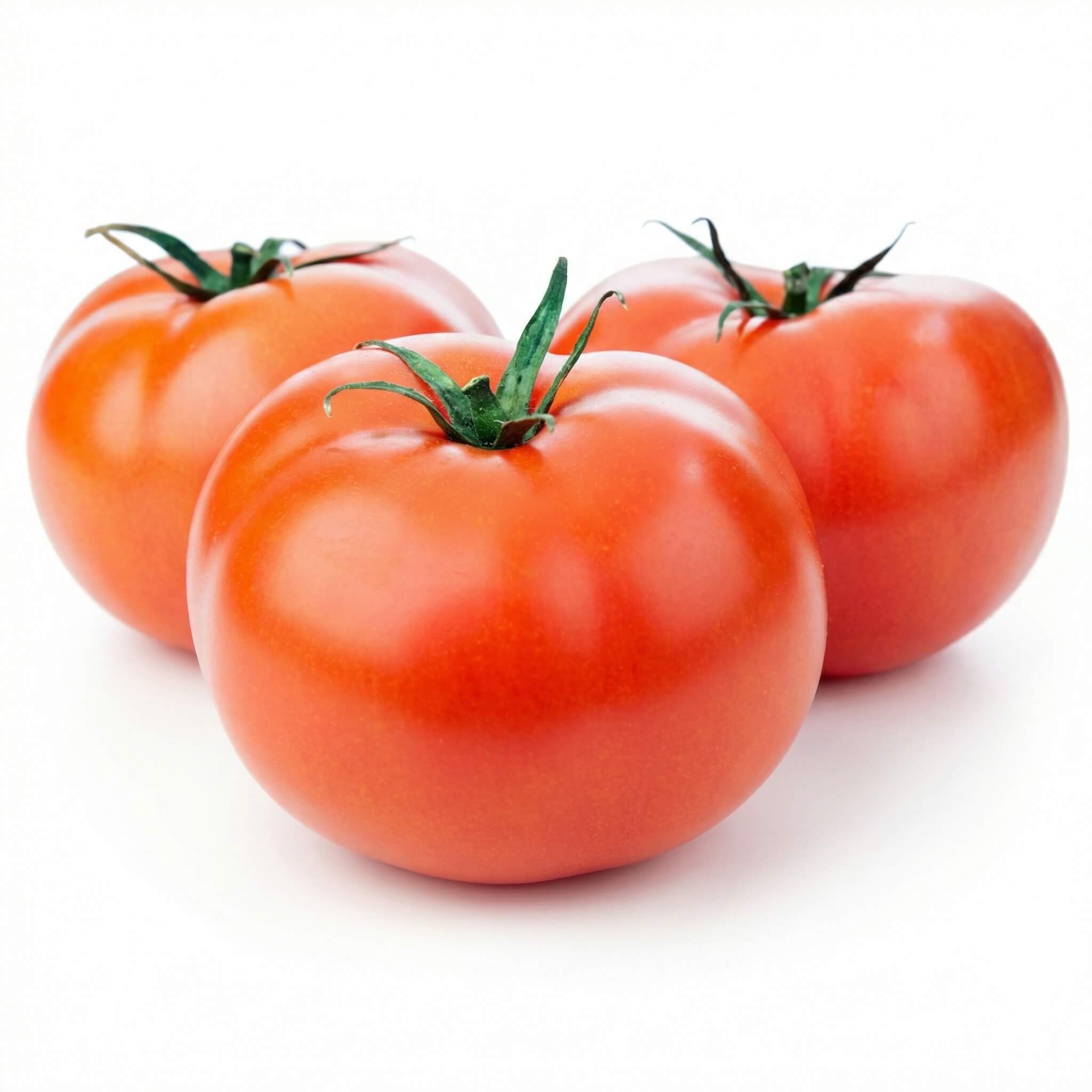 Fresh Red Tomatoes ( turki ) 1 Kg