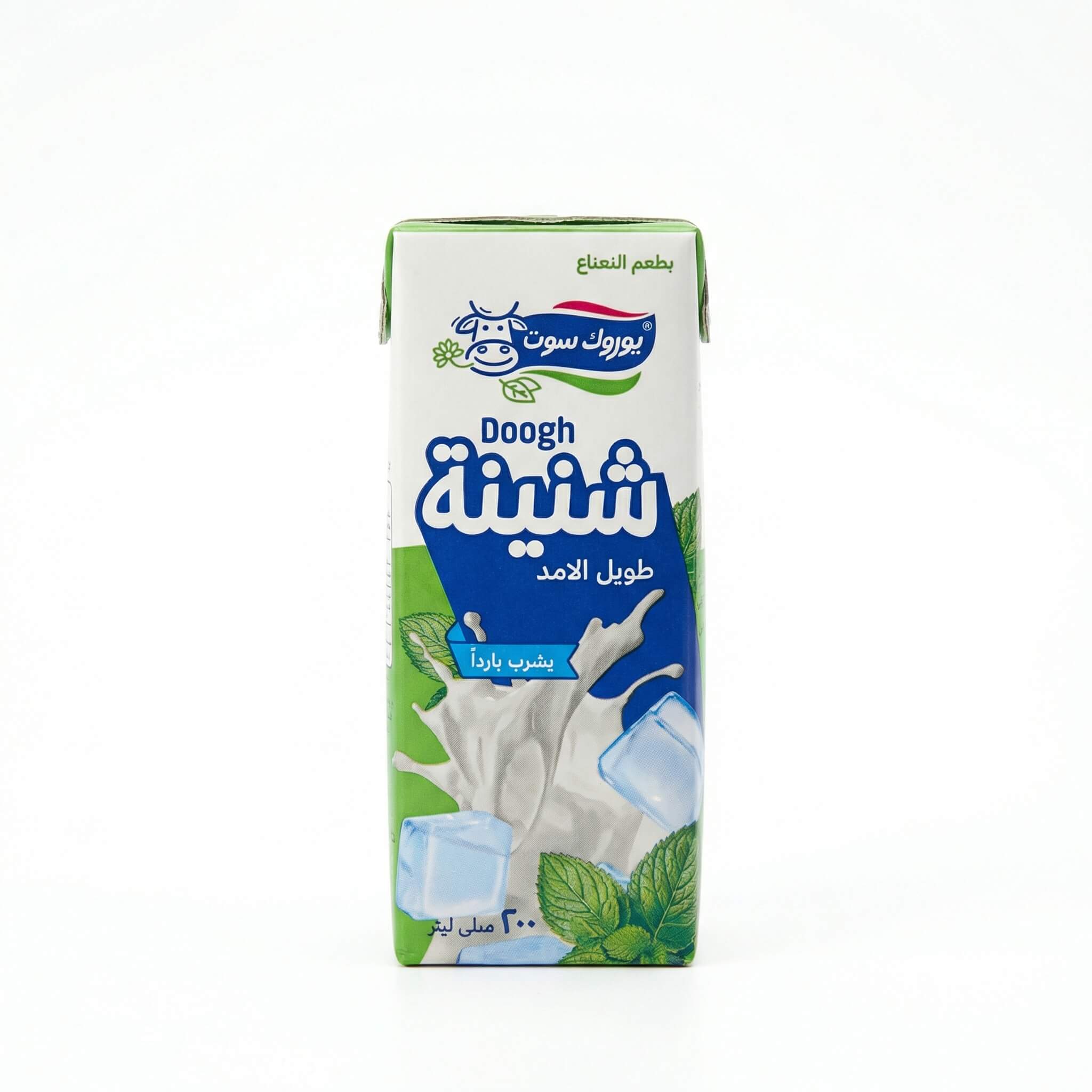 Euro Süt Doogh Mint Flavor