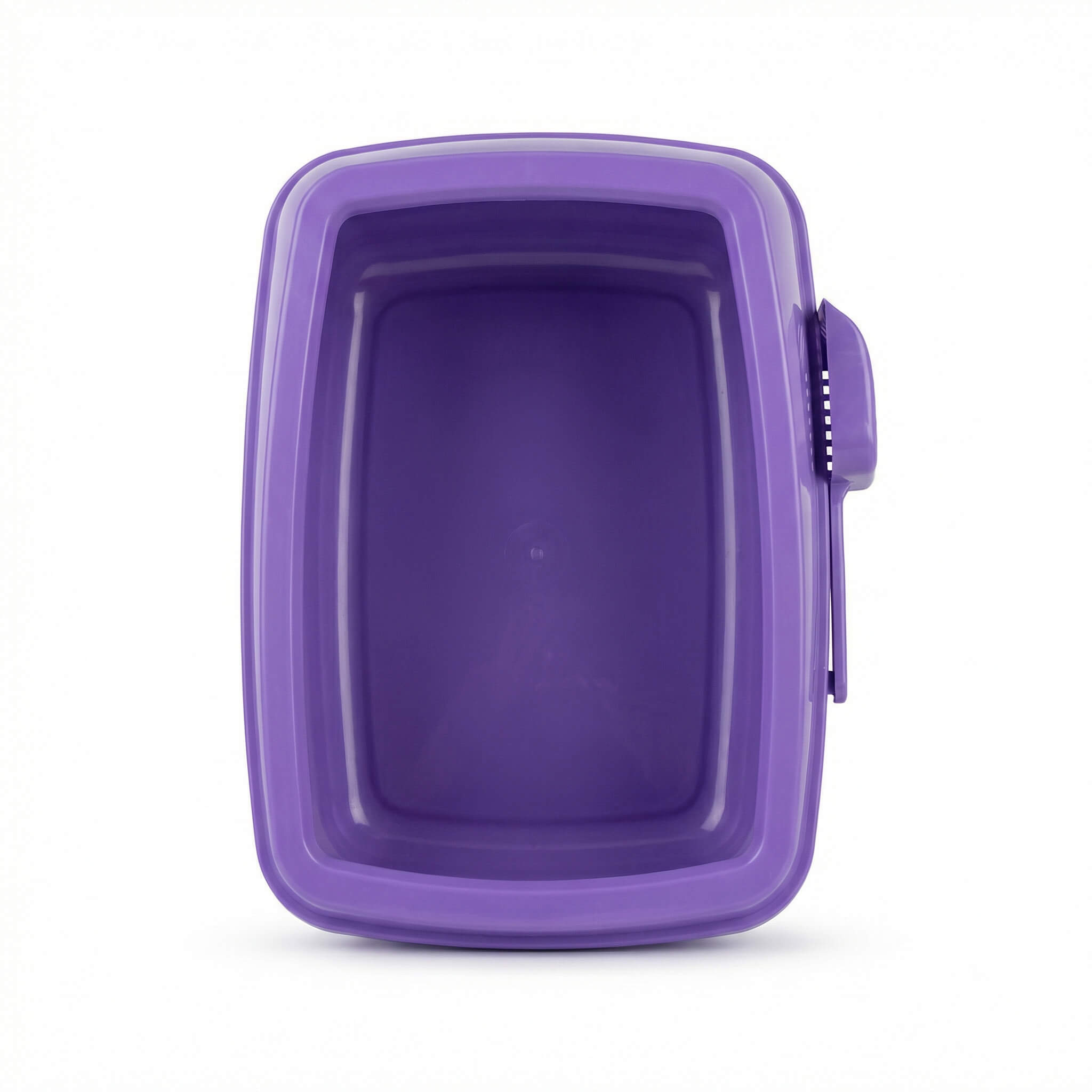 Open Top Cat Litter Box with High Shield and Scoop