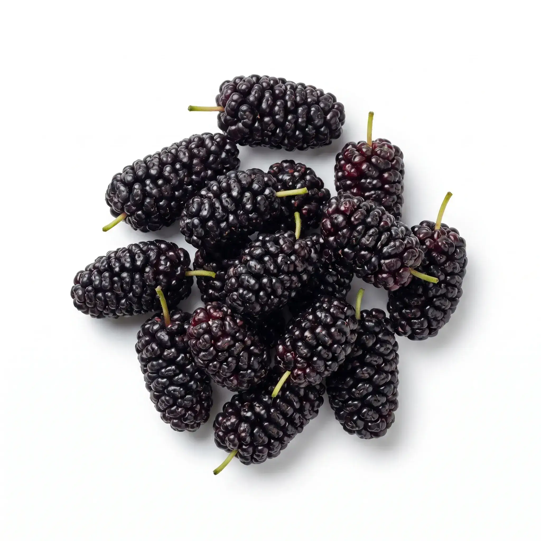 Fresh Black Mulberries 400gm
