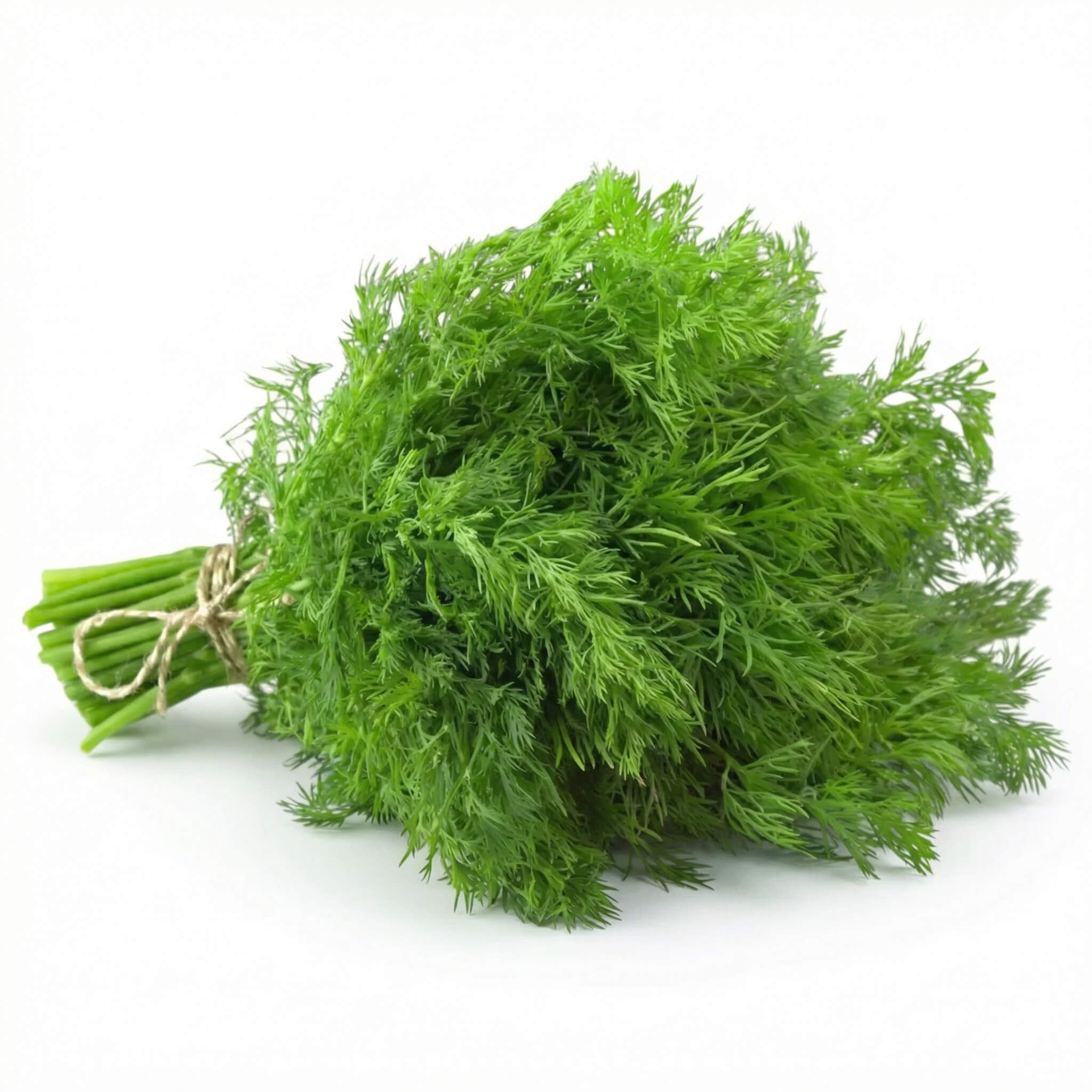 Fresh Dill 1 Bunch