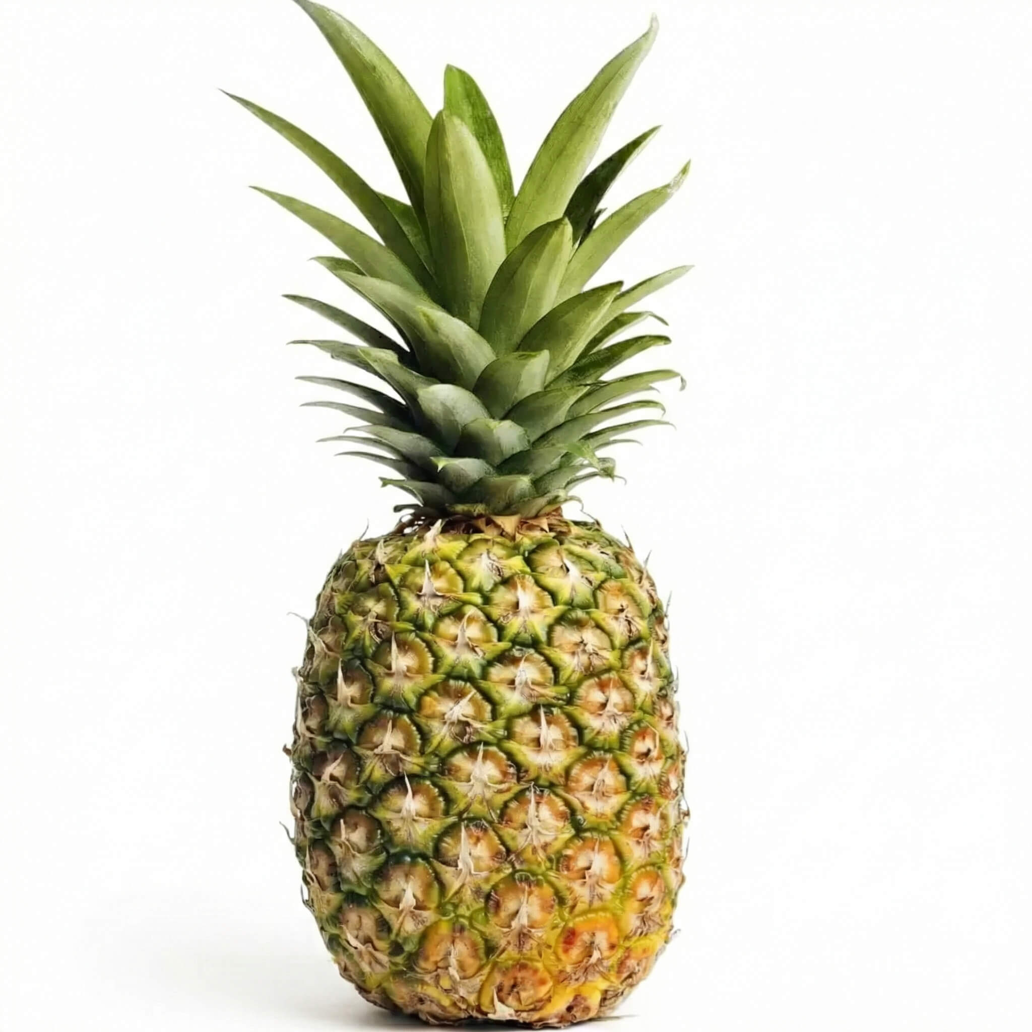 Fresh Pineapple 1 Pcs