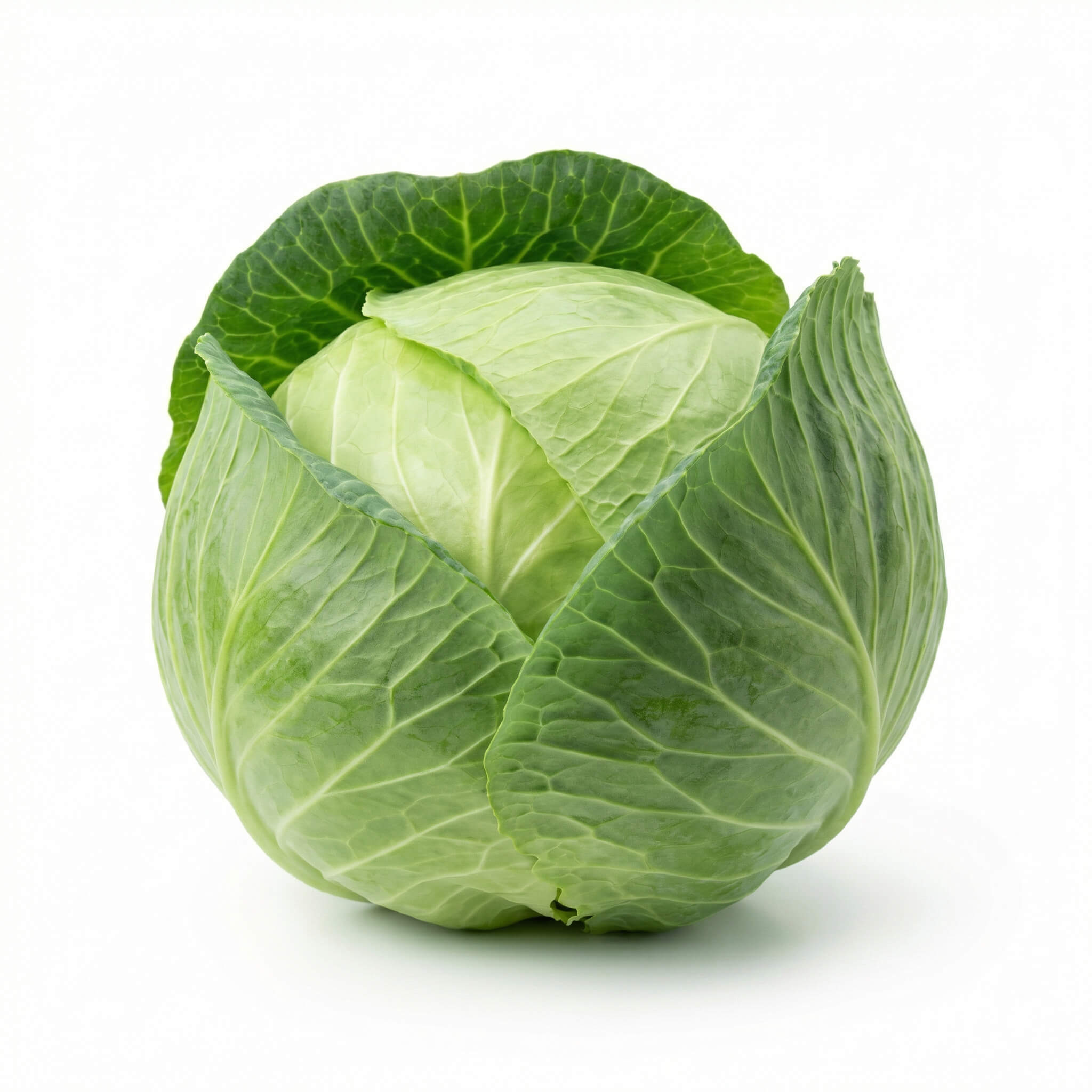 Fresh Green Cabbage 1kg