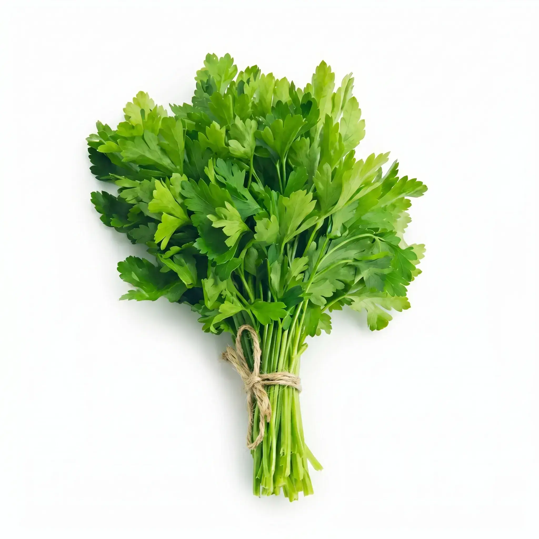 cilantro Leaves 1 bunch
