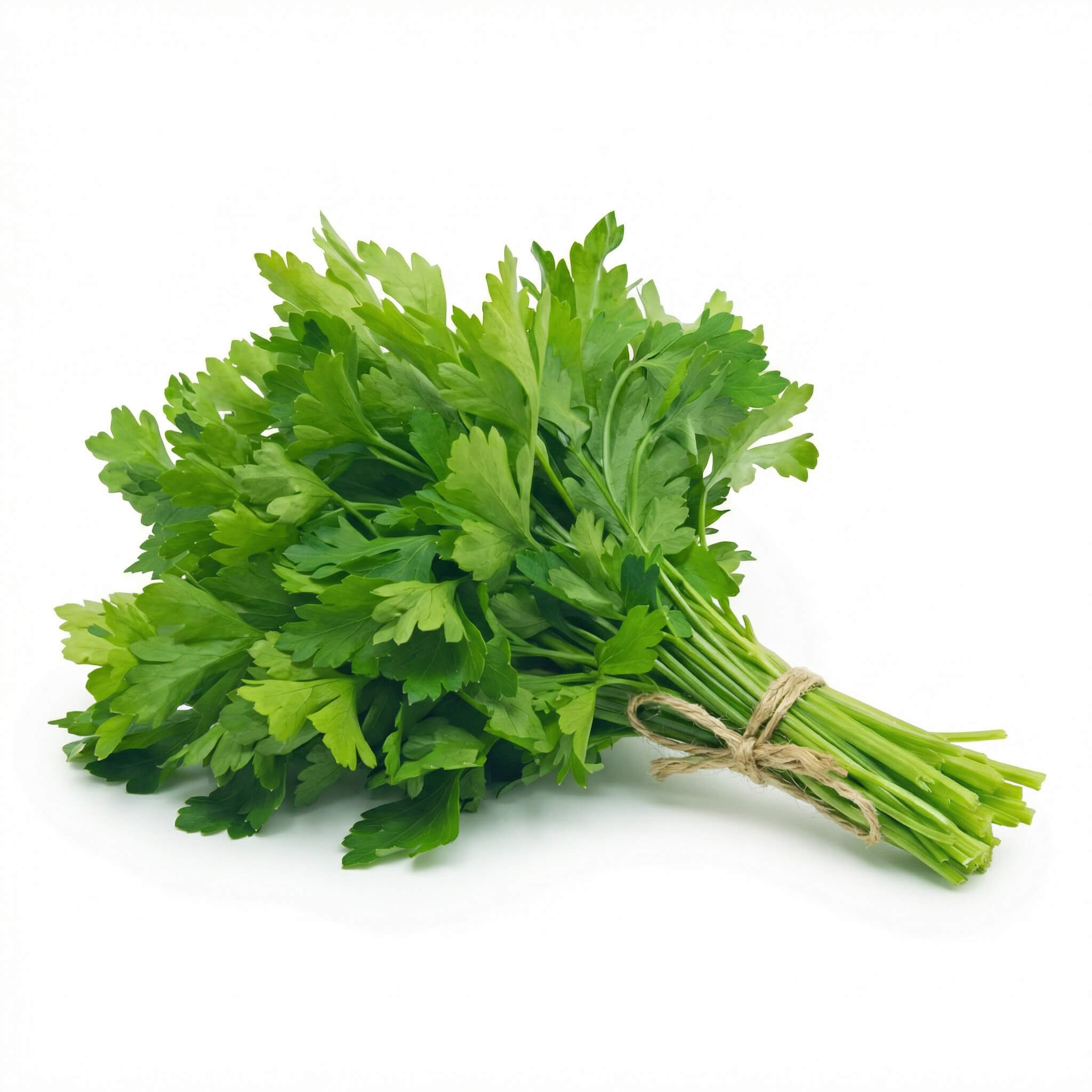 Fresh Parsley Bunch 1 ( madanos)