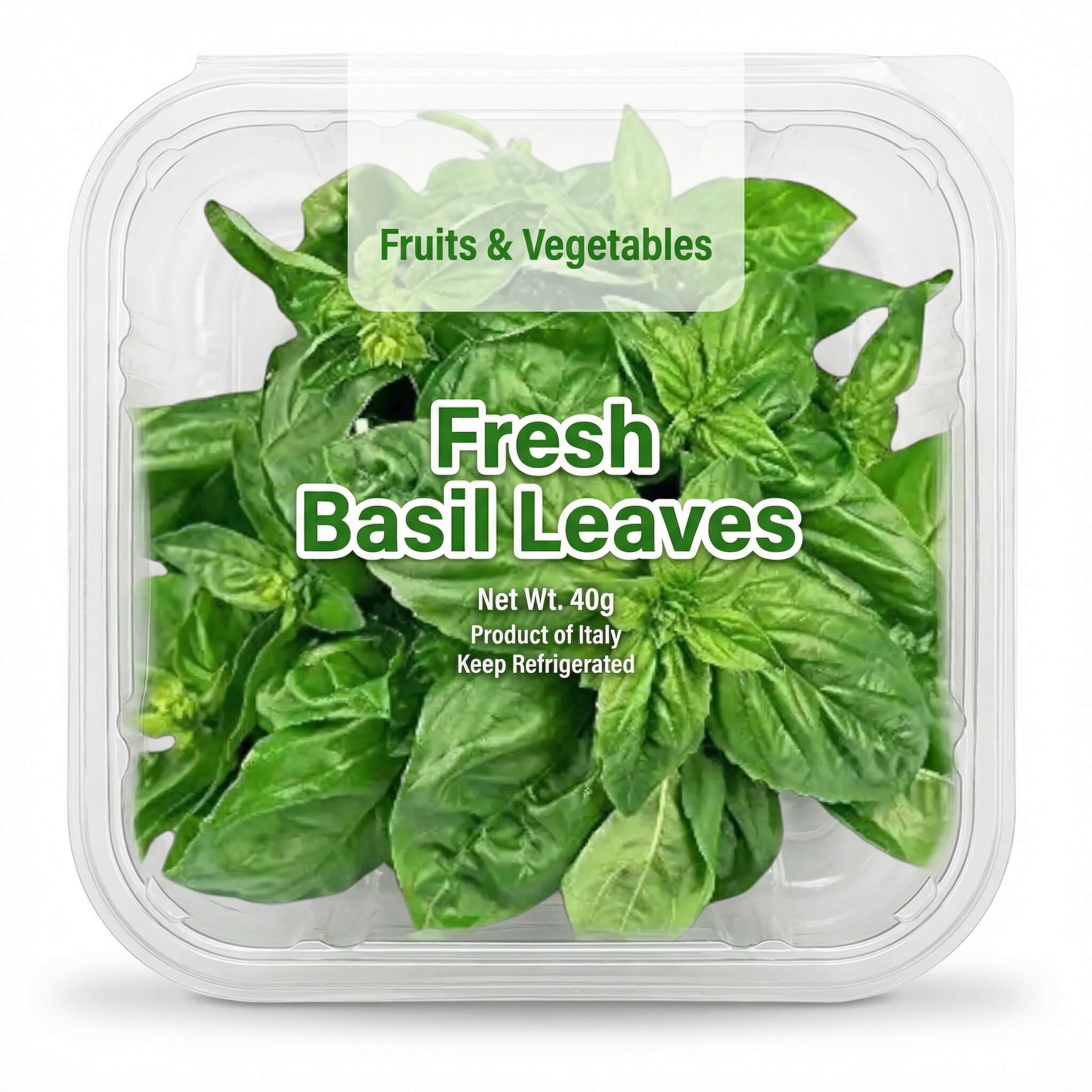 Fresh Basil Leaves