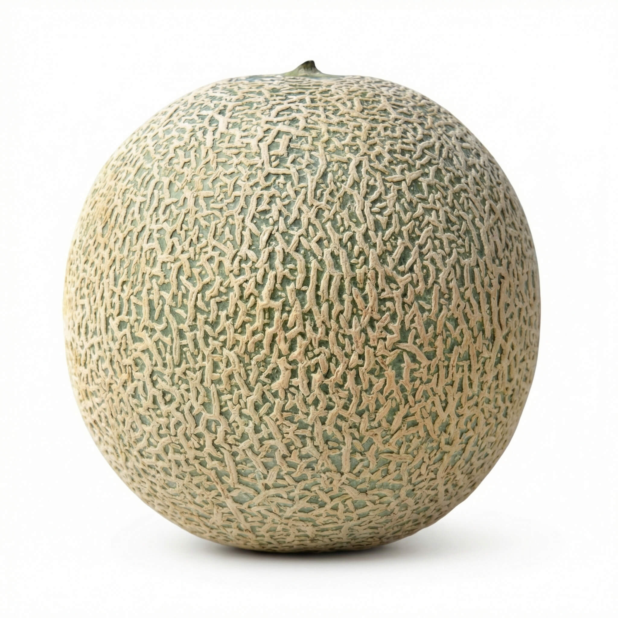 Fresh Cantaloupe Melon