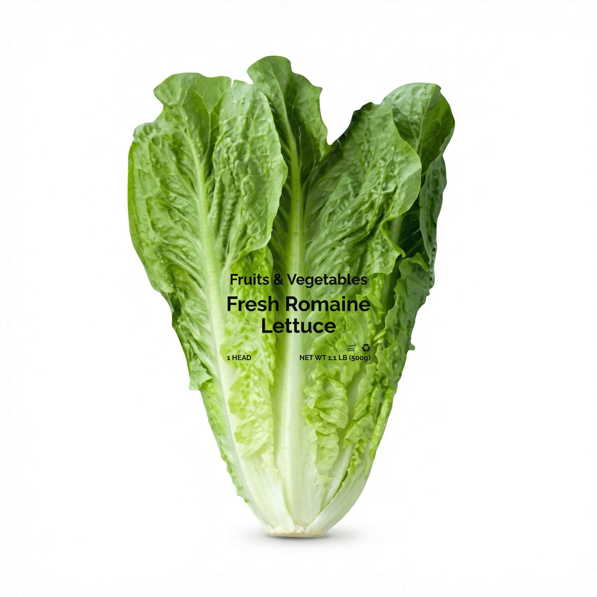 Fresh Lettuce 1 Kg