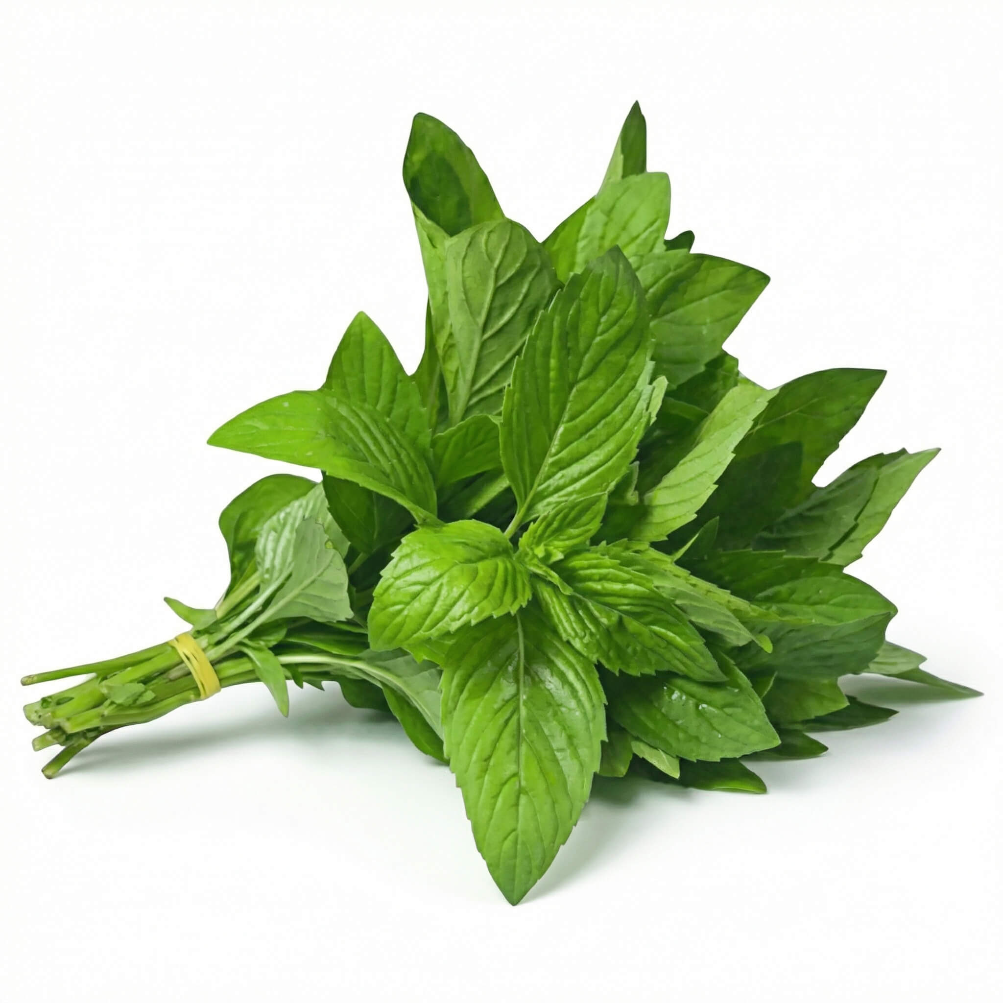 Fresh Mint 1 Bunch