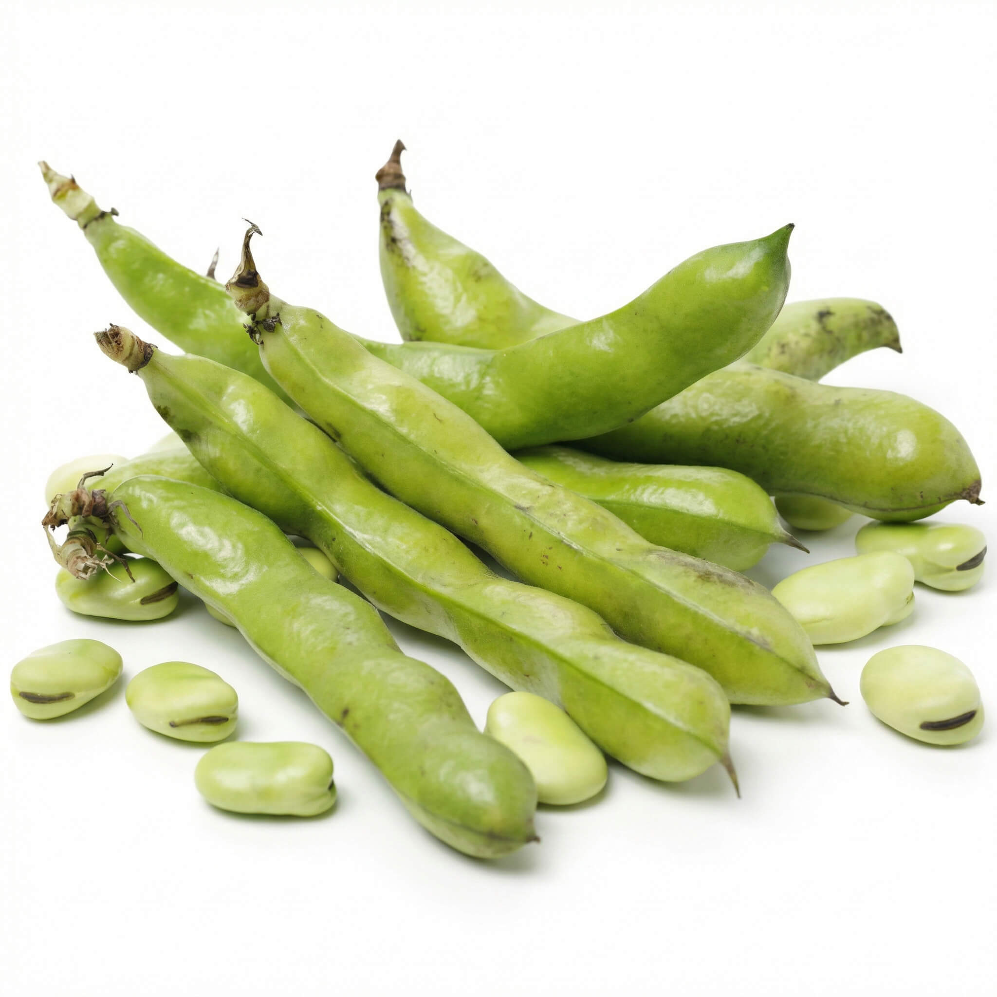 Fresh Broad Beans (Fava Beans) 1 Kg