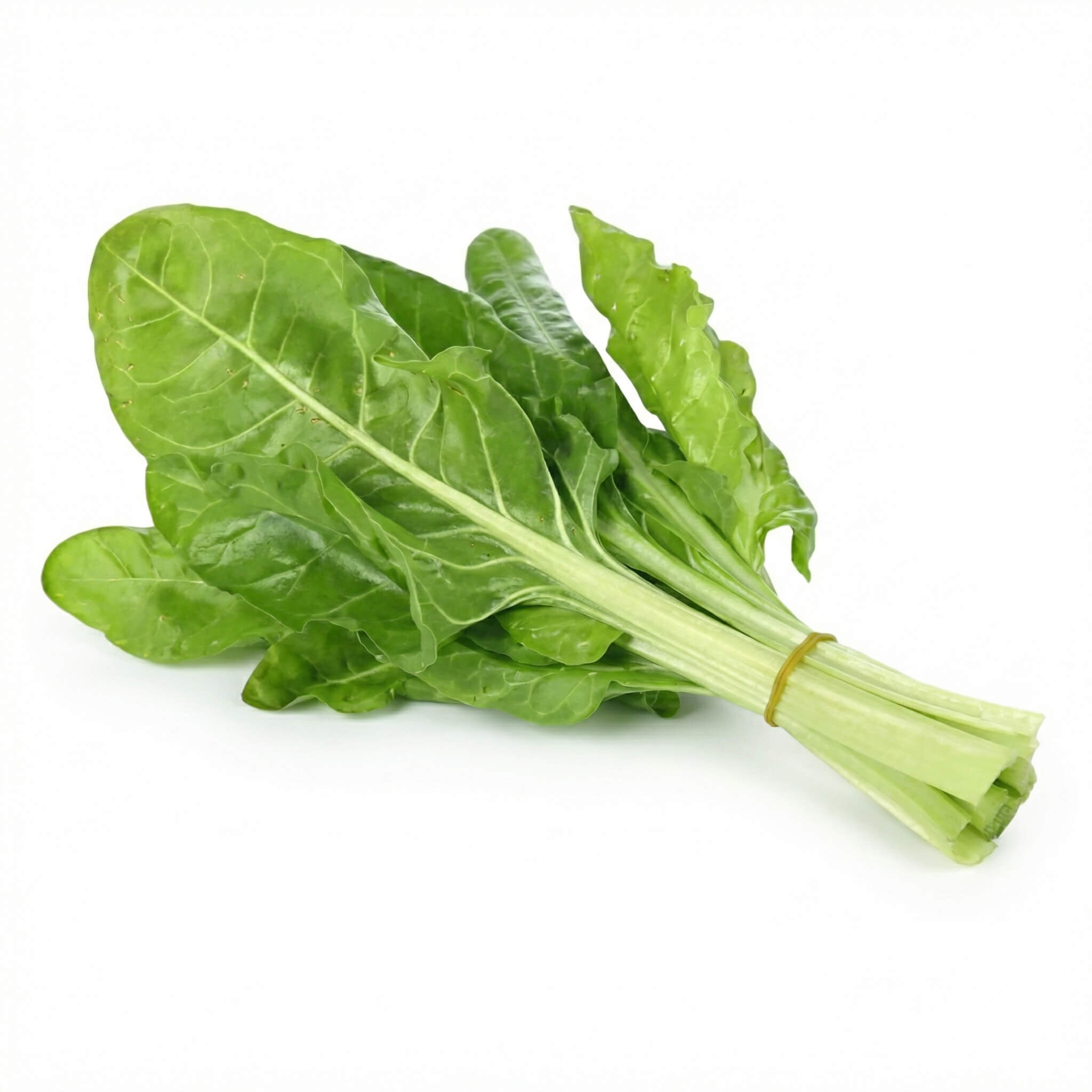 Fresh Chard (Silaq) Bundle 1 Bunch
