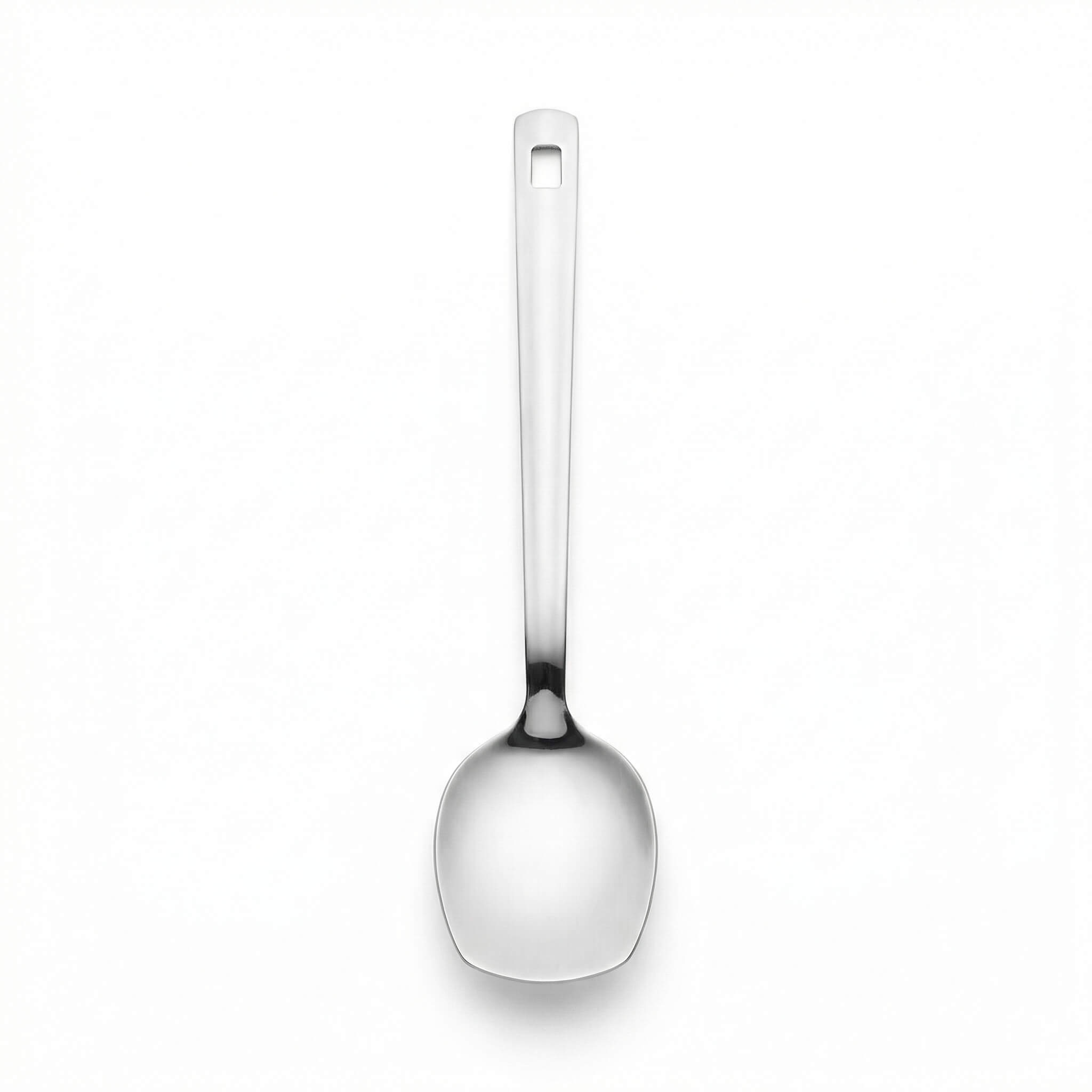 Stainless Steel Serving Spoon