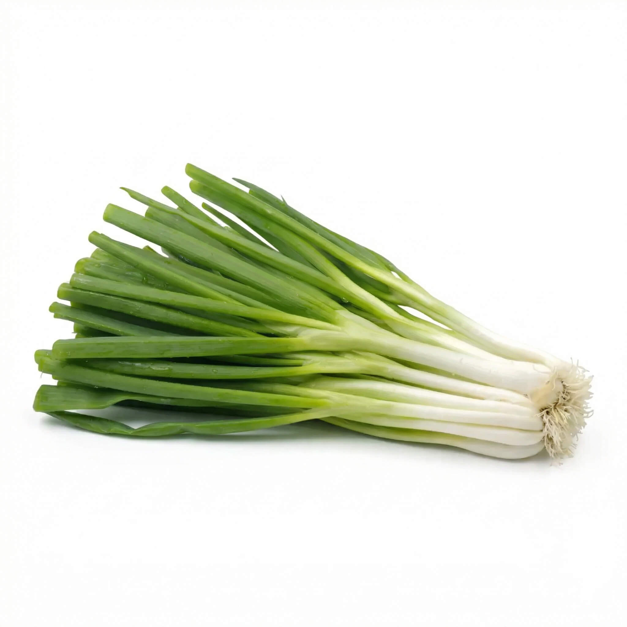 Fresh Green Onions (Scallions) 1kg