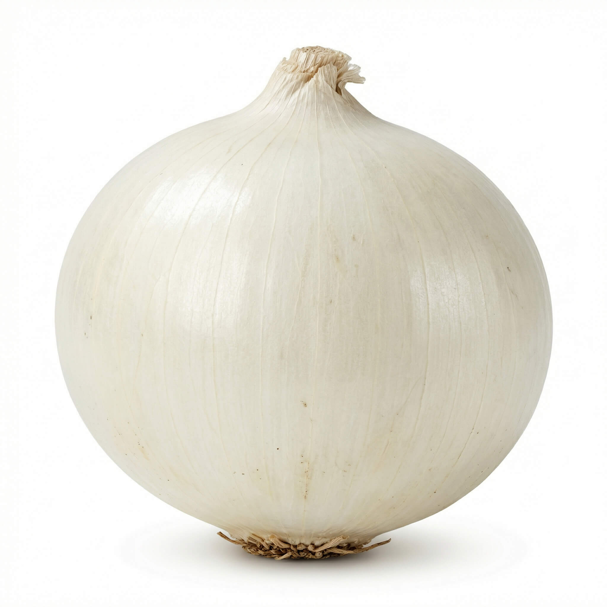 Fresh White Onion 1 Kg