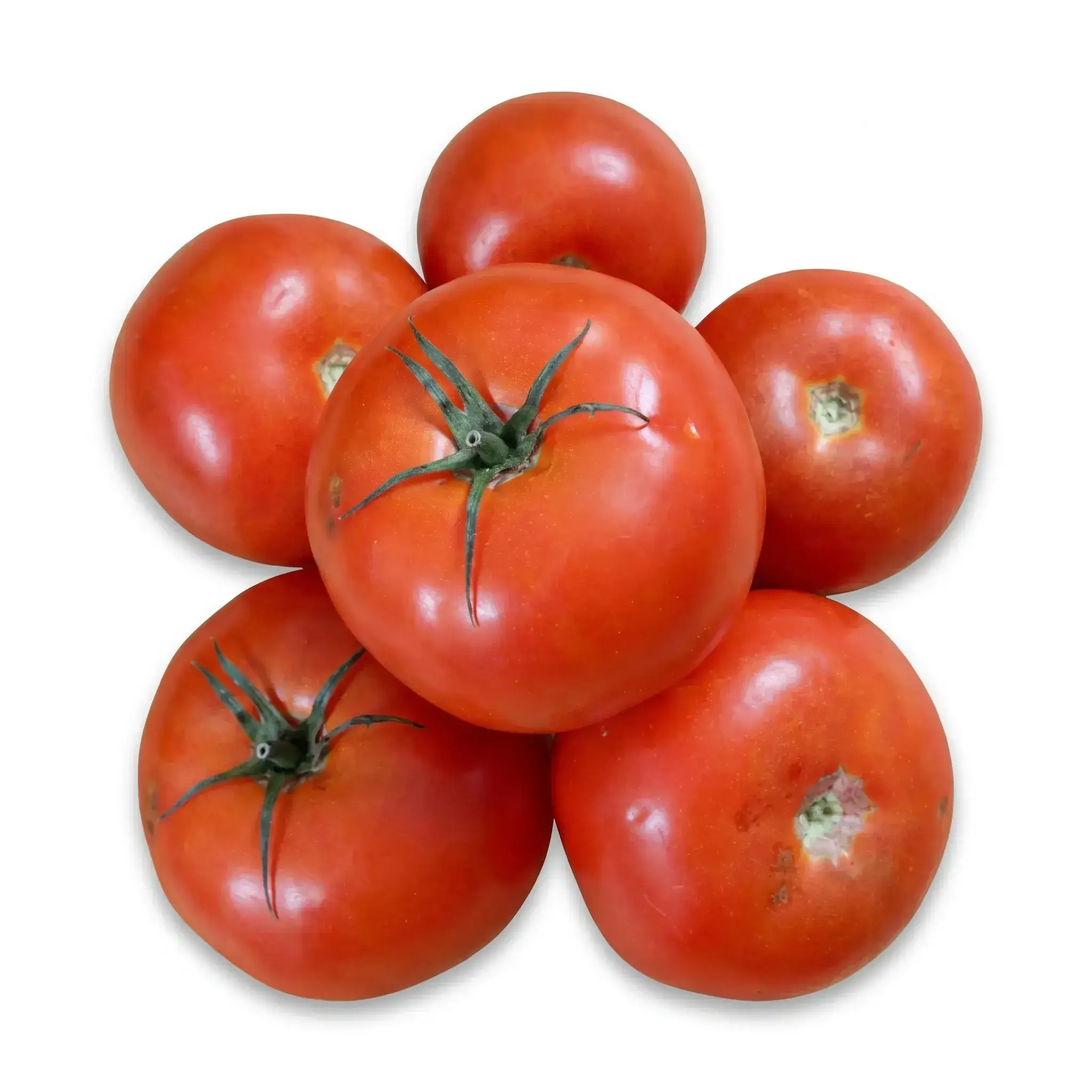 Tomato Sauce (Soft, Small)