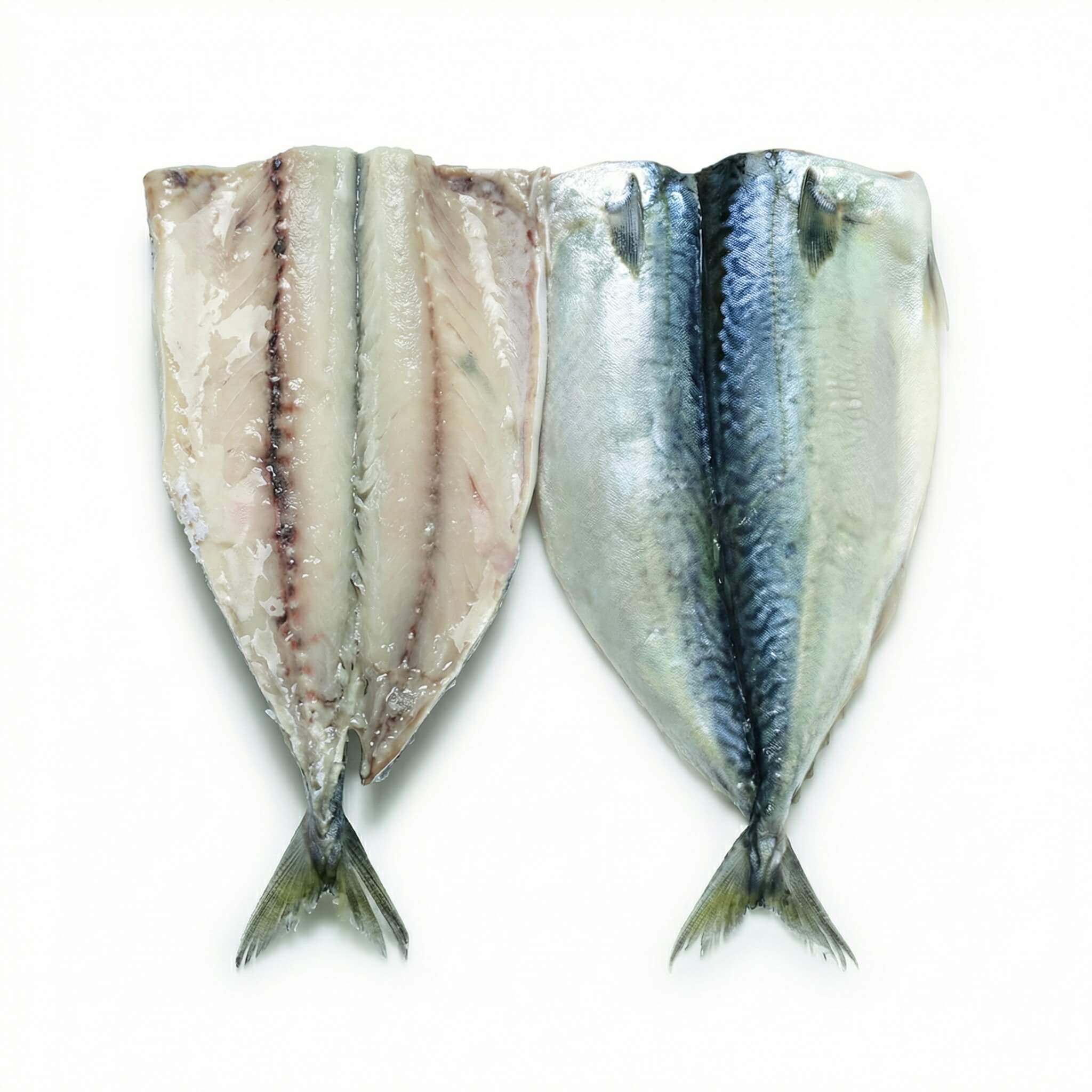 Frozen Mackerel Fish Fillet